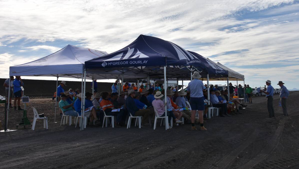 The 2020 Gwydir Field Day will be held on Friday, February 14.