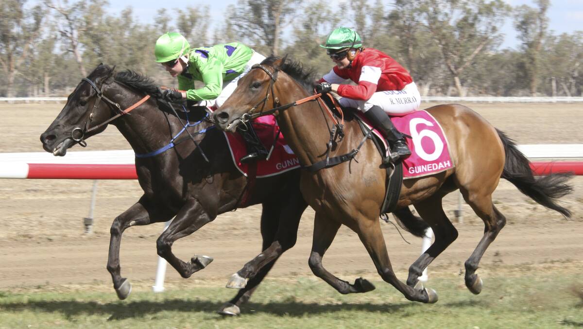 Master Cramsie won a tight race to give Peter Sinclair win six. Photo: bradleyphotos.com.au.