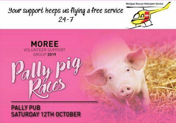 The Pally Pig Races will be held on Saturday, October 12, with six races and plenty of other entertainment on offer throughout the day.