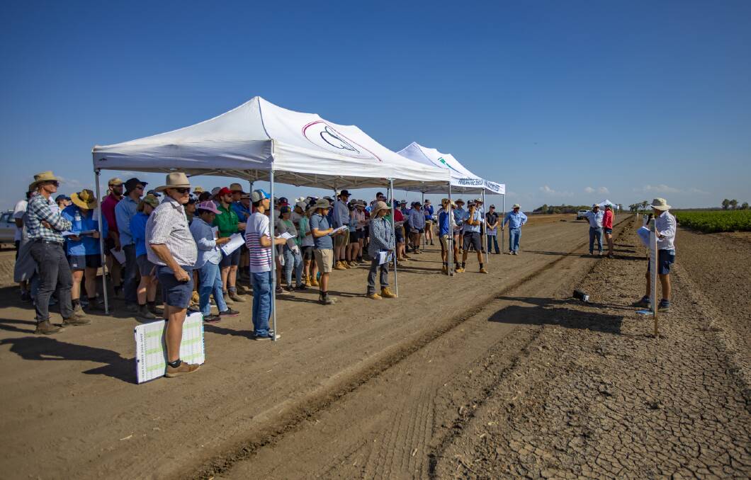 Around 120 people are expected at the CSD and Lower Namoi CGA field day on Thursday. Photo: Josh Smith.