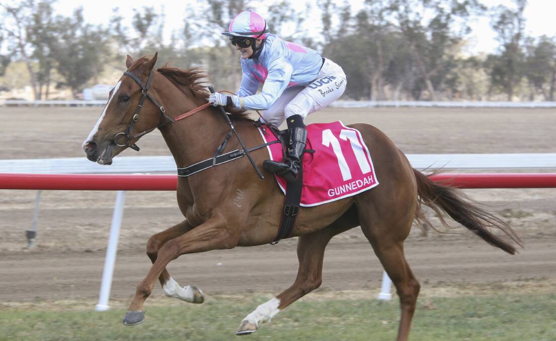 Mymill got her first win at Gunnedah and gave Peter Sinclair his fifth win of the Hunter and North West Racing Association season. Photo: bradleyphotos.com.au.