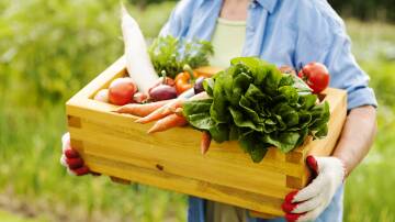 Growing food is fashionable again. Picture: Shutterstock