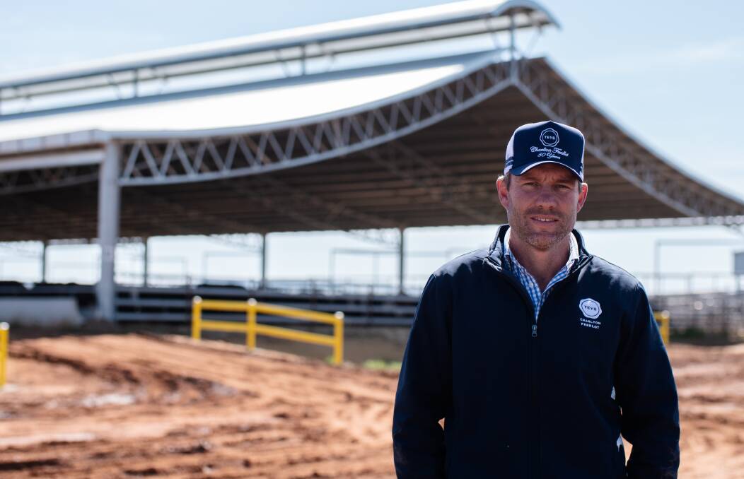 Teys Australia Charlton Feedlot General Manager Ash Sheahan said improving conditions for cattle in a wet winter and increased feed intake are just some of the benefits of the operations' Ridgeback™ shed.
