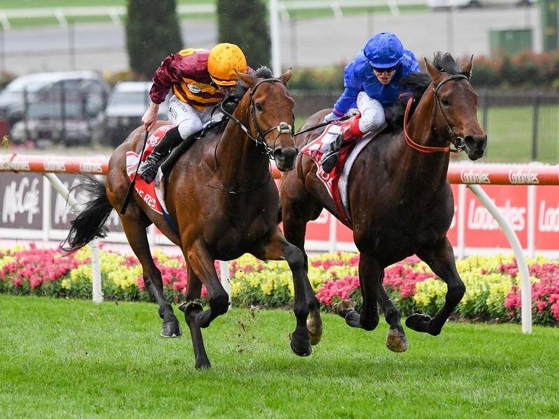 Irish galloper State Of Rest and three-year-old Anamoe fought out the WS Cox Plate at Moonee Valley.