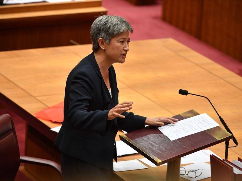 The senate has supported a Labor motion that Bettina Arndt be stripped of her Australia Day honour.