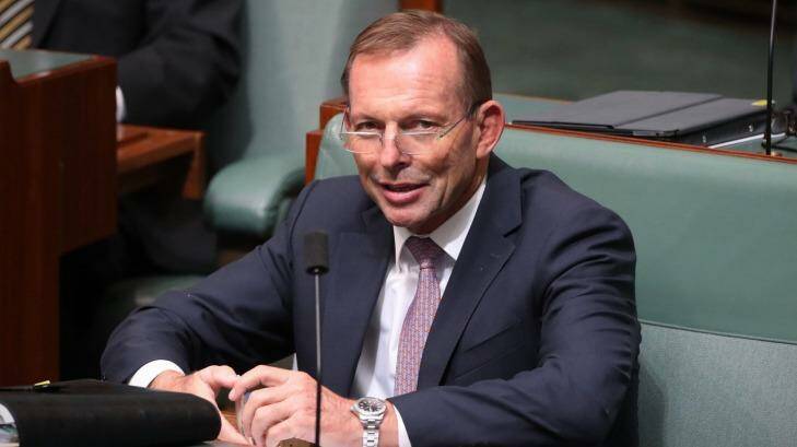 Tony Abbott during Question Time on Monday. Photo: Andrew Meares