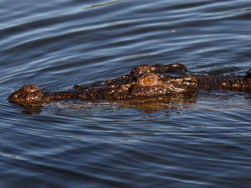 One of the UK women repeatedly punched a crocodile to save her sibling from an attack in Mexico.