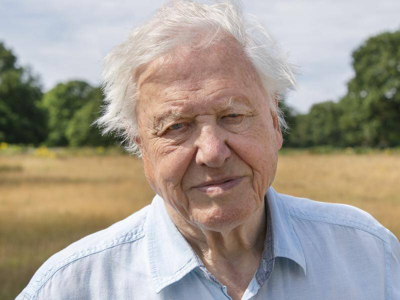 David Attenborough will address the leaders of the G7 gathered in Cornwall.