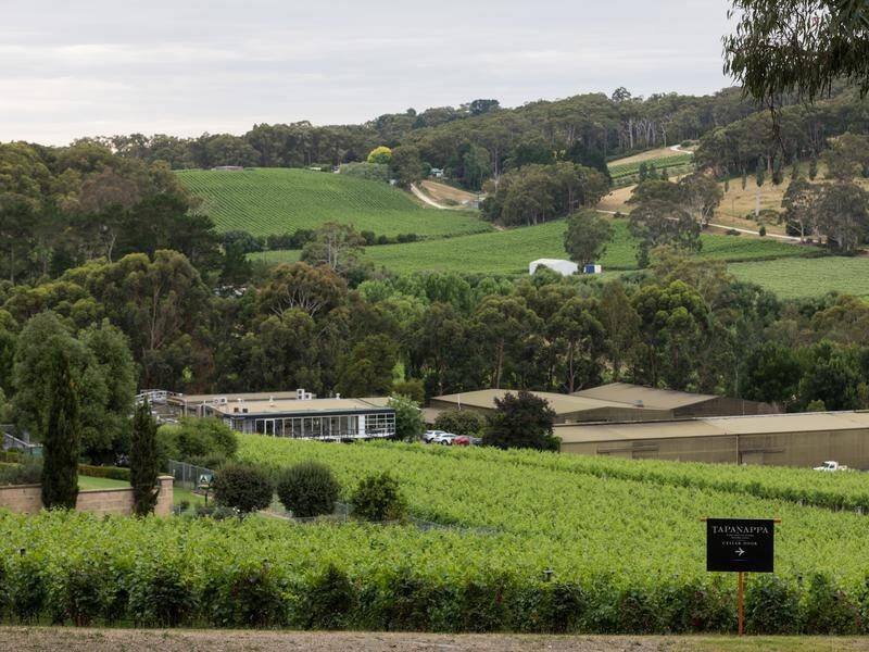China's imposition of duties on Australian wine will be examined by the WTO
