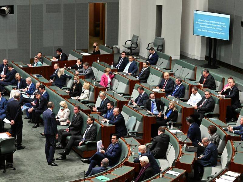 The climate change bills passed the lower house last week, and are now before a Senate inquiry. (Mick Tsikas/AAP PHOTOS)