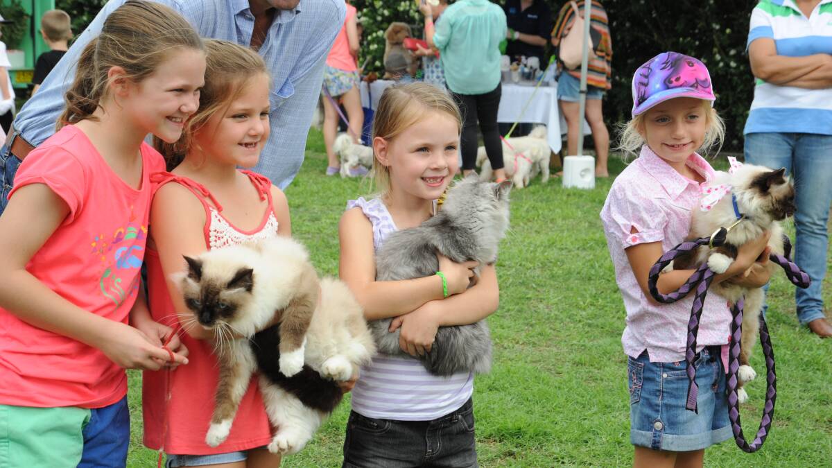 The cat section of the pet show: Dimity and Sophie Hunter, Isa Young and Bella Johnson.